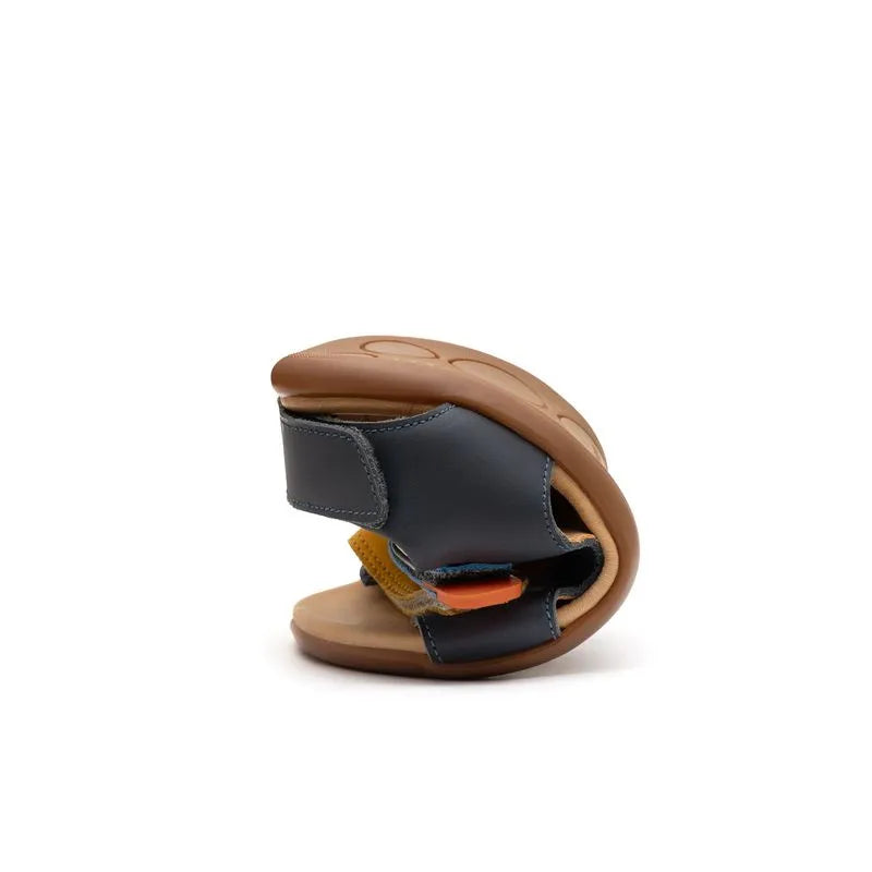 Tip Toey Joey - Explorer Navy Caja Blue Tang