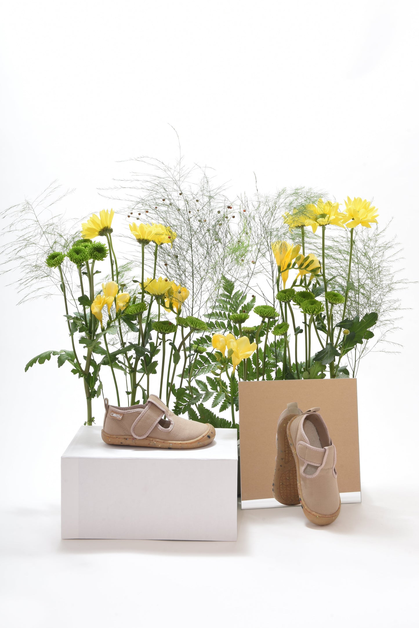 Caelu - Comporta Caelu