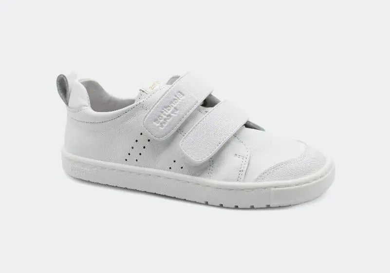 Blanditos by Crio's - Rio