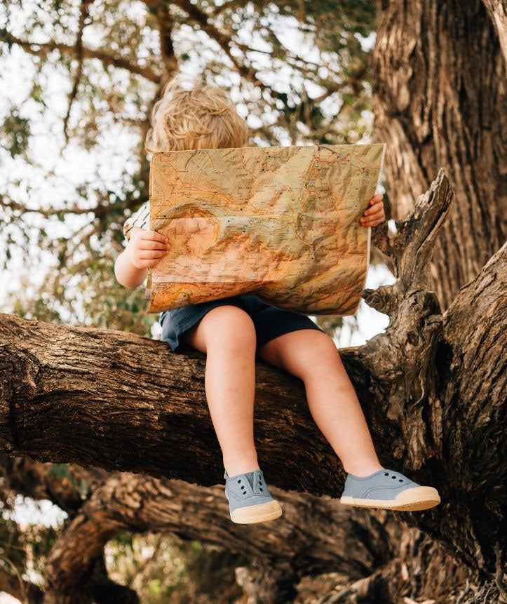 Igor - Lona Oceano Igor