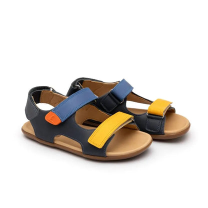 Tip Toey Joey - Explorer Navy Caja Blue Tang