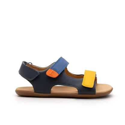 Tip Toey Joey - Explorer Navy Caja Blue Tang