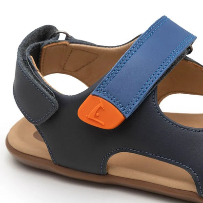 Tip Toey Joey - Explorer Navy Caja Blue Tang