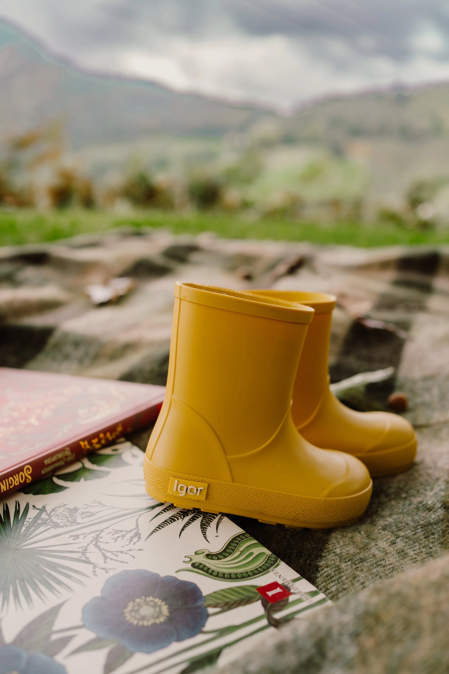 Igor Barefoot - Bottes de Pluie Yogi Amarillo