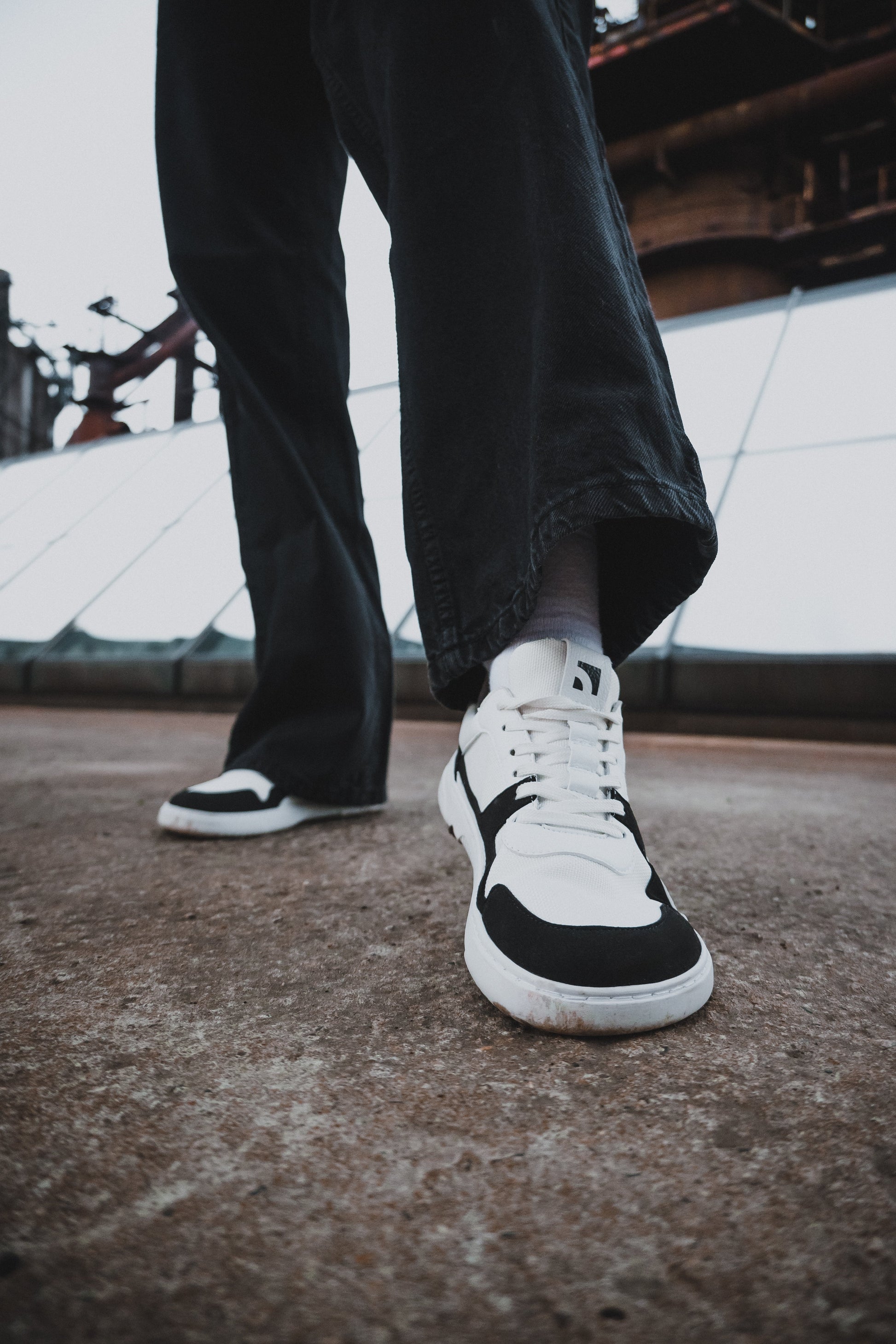 Barebarics - Zing Barebarics